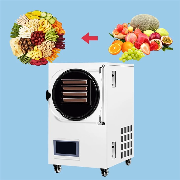 Mini Benchtop تجميد مجفف للبيع
